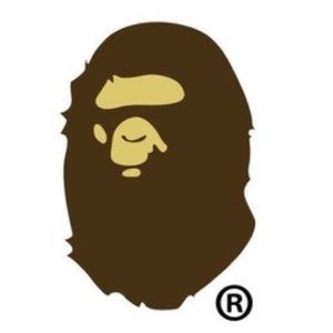 Meet your Posher, Alexander